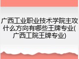 广西工业职业技术学院主攻什么方向有哪些王牌专业(广西工院王牌专业)