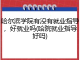 哈尔滨学院有没有就业指导，好就业吗(哈院就业指导好吗)