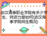 武汉海事职业学院有多少学生，师资力量如何(武汉海事学院师生概况)