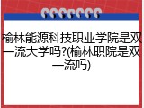 榆林能源科技职业学院是双一流大学吗?(榆林职院是双一流吗)