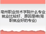 亳州职业技术学院什么专业就业比较好，原因是啥(亳职就业好的专业)