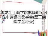 黑龙江工商学院就读期间可以申请哪些奖学金(黑工商奖学金种类)