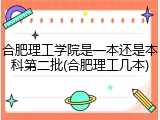 合肥理工学院是一本还是本科第二批(合肥理工几本)