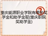 重庆能源职业学院有哪些奖学金和助学金呢(重庆职院奖助学金)