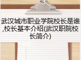 武汉城市职业学院校长是谁,校长基本介绍(武汉职院校长简介)
