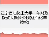 辽宁石油化工大学一年财政拨款大概多少钱(辽石化年拨款)