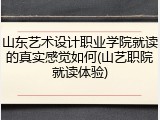 山东艺术设计职业学院就读的真实感觉如何(山艺职院就读体验)