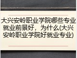 大兴安岭职业学院哪些专业就业前景好，为什么(大兴安岭职业学院好就业专业)