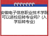 安徽电子信息职业技术学院可以进校后转专业吗？(入学后转专业)