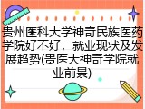 贵州医科大学神奇民族医药学院好不好，就业现状及发展趋势(贵医大神奇学院就业前景)