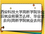 西安科技大学高新学院毕业后就业前景怎么样，毕业生去向(高新学院就业去向)