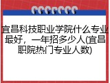 宜昌科技职业学院什么专业最好，一年招多少人(宜昌职院热门专业人数)