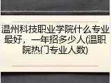 温州科技职业学院什么专业最好，一年招多少人(温职院热门专业人数)