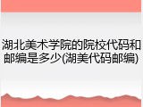 湖北美术学院的院校代码和邮编是多少(湖美代码邮编)