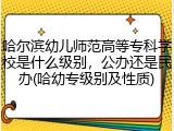 哈尔滨幼儿师范高等专科学校是什么级别，公办还是民办(哈幼专级别及性质)