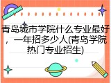 青岛城市学院什么专业最好，一年招多少人(青岛学院热门专业招生)