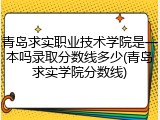 青岛求实职业技术学院是一本吗录取分数线多少(青岛求实学院分数线)