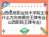 山西信息职业技术学院主攻什么方向有哪些王牌专业(山西职院王牌专业)