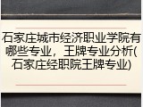 石家庄城市经济职业学院有哪些专业，王牌专业分析(石家庄经职院王牌专业)