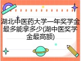 湖北中医药大学一年奖学金最多能拿多少(湖中医奖学金最高额)