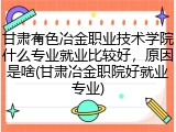 甘肃有色冶金职业技术学院什么专业就业比较好，原因是啥(甘肃冶金职院好就业专业)