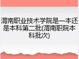 渭南职业技术学院是一本还是本科第二批(渭南职院本科批次)