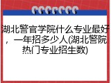 湖北警官学院什么专业最好，一年招多少人(湖北警院热门专业招生数)