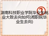湖南科技职业学院毕业生就业大致去向如何(湘职院毕业生去向)