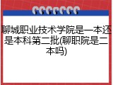 聊城职业技术学院是一本还是本科第二批(聊职院是二本吗)