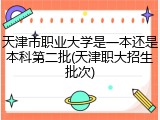 天津市职业大学是一本还是本科第二批(天津职大招生批次)