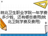 皖北卫生职业学院一年学费多少钱，还有哪些费用(皖北卫院学费及费用)