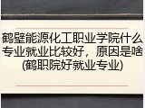 鹤壁能源化工职业学院什么专业就业比较好，原因是啥(鹤职院好就业专业)