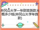 井冈山大学一年财政拨款大概多少钱(井冈山大学年拨款)