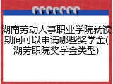 湖南劳动人事职业学院就读期间可以申请哪些奖学金(湖劳职院奖学金类型)