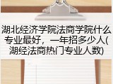 湖北经济学院法商学院什么专业最好，一年招多少人(湖经法商热门专业人数)