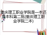 重庆理工职业学院是一本还是本科第二批(重庆理工职业学院二本)