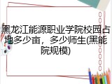 黑龙江能源职业学院校园占地多少亩，多少师生(黑能院规模)
