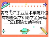 青岛飞洋职业技术学院开设有哪些奖学和助学金(青岛飞洋职院奖助学金)