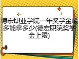 德宏职业学院一年奖学金最多能拿多少(德宏职院奖学金上限)