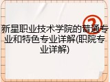 新星职业技术学院的普通专业和特色专业详解(职院专业详解)