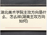 湖北美术学院主攻方向是什么，怎么样(湖美主攻方向如何)