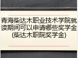 青海柴达木职业技术学院就读期间可以申请哪些奖学金(柴达木职院奖学金)