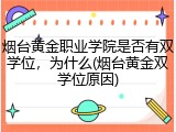 烟台黄金职业学院是否有双学位，为什么(烟台黄金双学位原因)