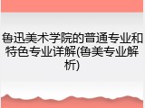 鲁迅美术学院的普通专业和特色专业详解(鲁美专业解析)