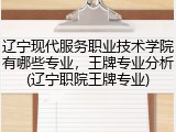 辽宁现代服务职业技术学院有哪些专业，王牌专业分析(辽宁职院王牌专业)
