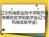 辽宁机电职业技术学院开设有哪些奖学和助学金(辽宁机电奖助学金)