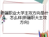 新疆职业大学主攻方向是什么，怎么样(新疆职大主攻方向)