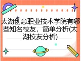 太湖创意职业技术学院有哪些知名校友，简单分析(太湖校友分析)