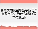 贵州民用航空职业学院是否有双学位，为什么(贵航双学位原因)