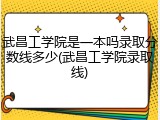 武昌工学院是一本吗录取分数线多少(武昌工学院录取线)